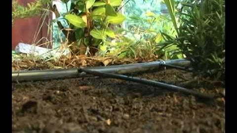 Drip Irrigation Kit - Garden Beds/Soaker Dripline