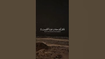 سورة القصص بصوت الشيخ ياسر الدوسري💙💙 #تلاوة_خاشعة #قرآن #ياسر_الدوسري #سورة_القصص