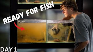 3 Easy Ways to Quick Start your New Aquarium! (FAST) Net Worth