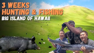Hunting pigs and sheep in Hawaii