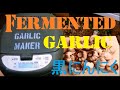 How to make Fermented garlic.    黒にんにく製造