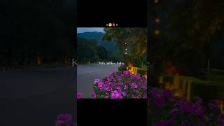 Tu Jaane Na   S Song   Kaise Batayein Kyu Tujhko Chahe   songslovesongshorts