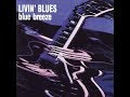 Livin blues blue breeze 1976 vinyl record