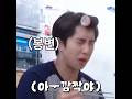 재주는 돼끼가 부리고 봉변은 쿼카가 더 보기 재주는 돼끼가 부리고 봉변은 쿼카가 더 보기