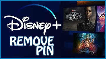 How to Remove Pin from Disney Plus 2024?
