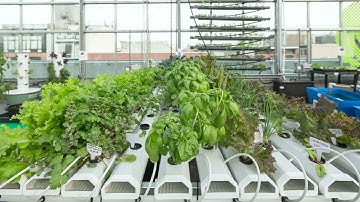 Introduction to the NFT (nutrient film technique)