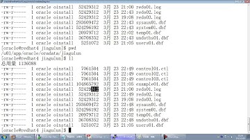【数据库oracle】26 Oracle存储结构 文件