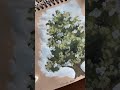 Micro sketchbook tour of my latest paintings #naturelover #painting #pleinair #artist #gouache