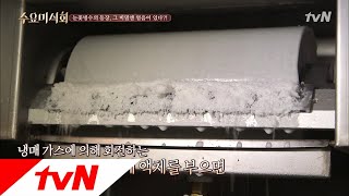 Wednesday Foodtalk 사르르~ 녹는 눈꽃 빙수! 얼음은 어떻게 만들까? 180802 EP.180