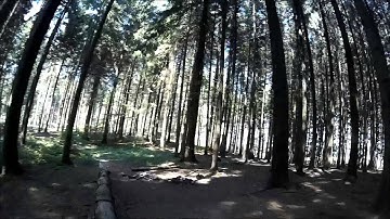 Woods Vortex FPV