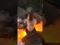 SpaceX Raptor V3 B19 Roars to Life!#spacex #raptorV3#b19 #test