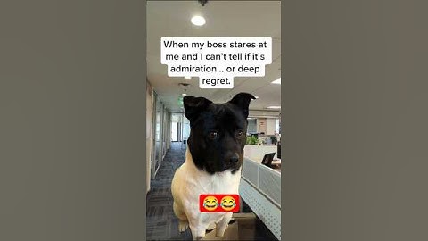 #tech #computerscience #programming #funny #coding #dev #viral #fyp #memes #viralvideo #python