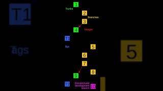 IBM Software Configuration and Library Manager | Wikipedia audio article screenshot 4
