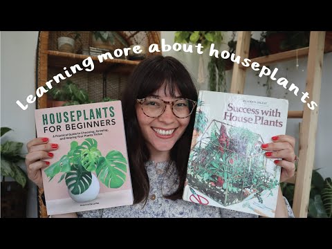 Video: Náročné izbové rastliny na pestovanie: Zistite viac o izbových rastlinách, ktoré si vyžadujú viac starostlivosti