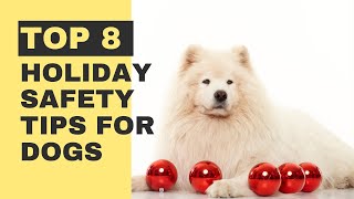 Top 8 Holiday Safety Tips for Dogs - How to Keep Your Dog Safe This Holiday Season by Pawsitive Pets 40 views 1 year ago 13 minutes, 40 seconds