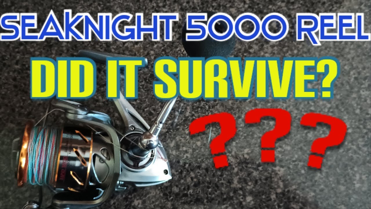 BUY IT! BUDGET Spinning Reel Review - Sea Knight Rapid 5000