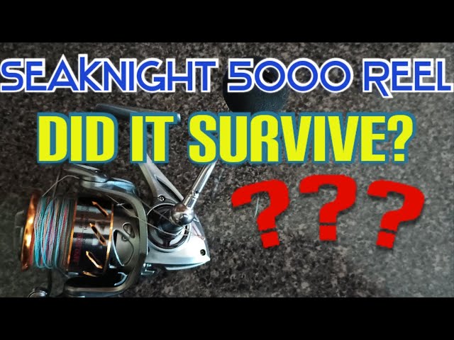 BUY IT! BUDGET Spinning Reel Review - Sea Knight Rapid 5000 SURVIVING 