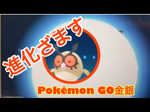 Pokemon Go金銀ホーホー進化シーン