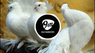 Kabutar Ja Ja Ja - (Dhol Mix) - Unreleased - Dj Abhijeet In The Mix  || DJ HARIOM ||