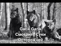 Garik Garik Смотрите Суки Осторожней