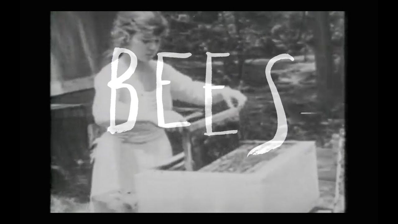 Watch Bees - Bird in the Belly(Official) on YouTube Watch Bees - Bird in the Belly(Official) on YouTube
