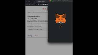 Use so|cash to pay online basket with a metamask wallet screenshot 3