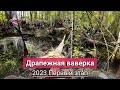 Драпежная ваверка Светлогорск 2023 весна - золото