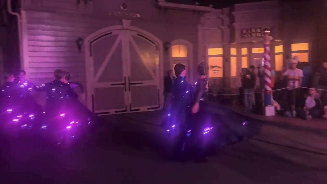 Disney starlight night time show