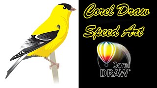 How to Draw A Bird in Corel Draw X7 screenshot 5