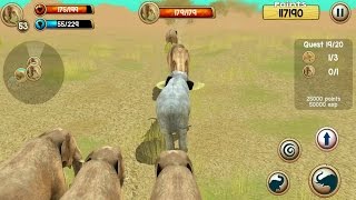 Wild Elephant Sim 3D Android Gameplay #8