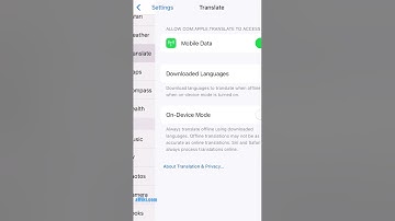 Add New Language to iPhone Translate App 📲 How to Download a New Language to Translator App ios 16