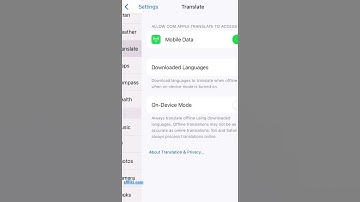 Add New Language to iPhone Translate App 📲 How to Download a New Language to Translator App ios 16