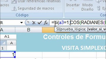 Simplexcel - Botón de Opción  Controles de Formulario