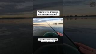 РАБОТАЮТ ЛИ БЛЕСНЫ В ПАСИУРНУЮ ПОГОДУ? #рыбалка #блесна #погода #спиннинг #осень #юмор #рекомендации