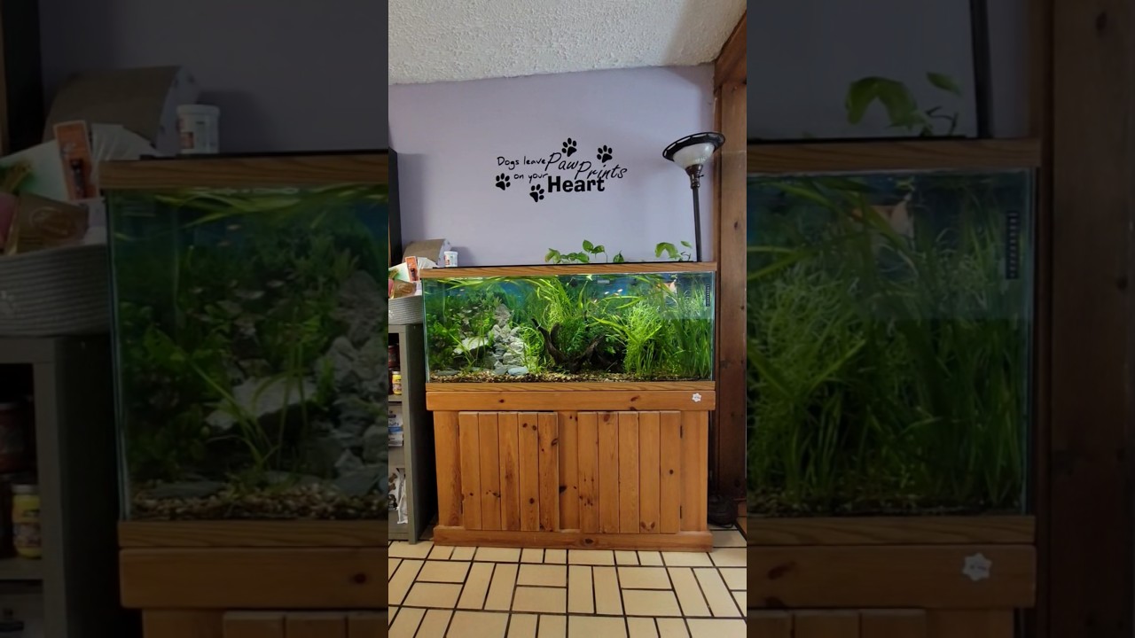 This one makes me happy 