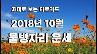 [호수쌤타로] 2018년 10월 물병자리 운세/타로카드/10월 운세/재미로 보는 타로카드