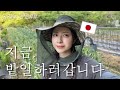 [농번기] 밭일에 진심인 일본인 아내 [거제도 한일부부 주말vlog]