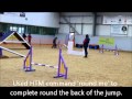 Wilmslow agility show -Small grade 6 Wilmslow agility show -Small grade 6