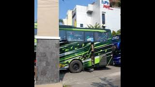 Bus Tunggal Jaya Space-X Green Earth #basuri #busmania #bismania #tunggaljayatransport #jetbus