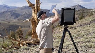 Large Format Landscape Photography S2E1: Ancient Trees