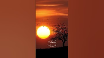 ومن جاء بالسيئة فكبت وجوههم في النار ||#محمد_اللحيدان سورة النمل - يوتيوب القرآن الكريم
