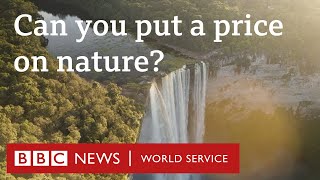 Can putting a price on nature help us care about it more? - The Climate Question, BBC World Service