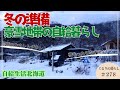 豪雪地帯の自給生活【ぐるりの暮らし】#278 大急ぎで冬囲いをしました