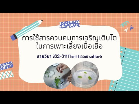 วีดีโอ: บทบาทของสารควบคุมการเจริญเติบโตของพืชในการเพาะเลี้ยงเนื้อเยื่อพืชคืออะไร?