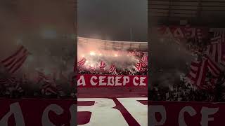 ДЕЛИЈЕ⚪️🔴#crvenazvezda #delijesever #football #belgrade #2025 #ultras #viral #foryou #shorts #fyp