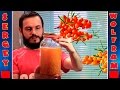 Настойка из облепихи рецепт(Tincture of sea buckthorn)