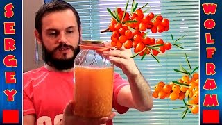 Настойка из облепихи рецепт(Tincture of sea buckthorn) Настойка из облепихи рецепт(Tincture of sea buckthorn)