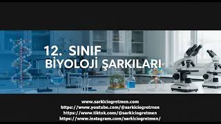 12. Sınıf Biyoloji Çift döllenme ve tohum oluşumu şarkısı v 2 kapak görseli