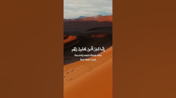 سورة فاطر: القارئ عادل ريان