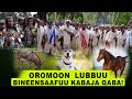 Oromoon Lubbuu Bineensaafuu Kabaja Qaba Aadaa Keenya Oromoon Lubbuu Bineensaafuu Kabaja Qaba Aadaa Keenya